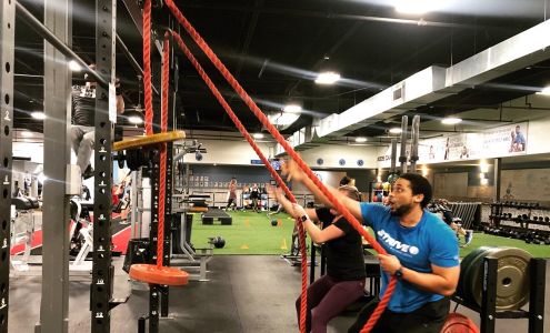 Strive Performance and Fitness Greensboro