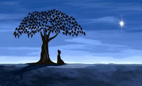 Yoga at The Tree House 70 Ford Ridge Ln, Columbus North Carolina 28722