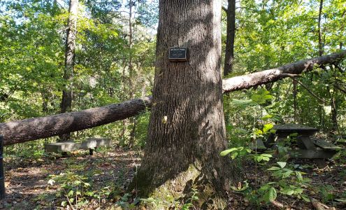 Bryan Park Browns Summit