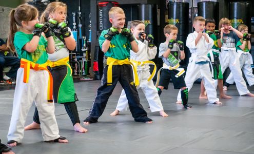 Premier Martial Arts (3287 S 14th St, Abilene)