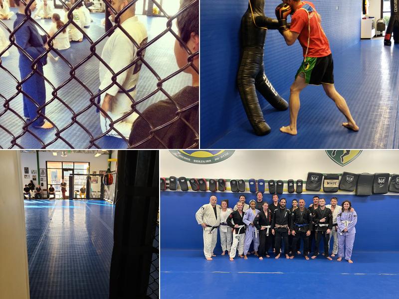 Zingano Brazilian Jiu Jitsu