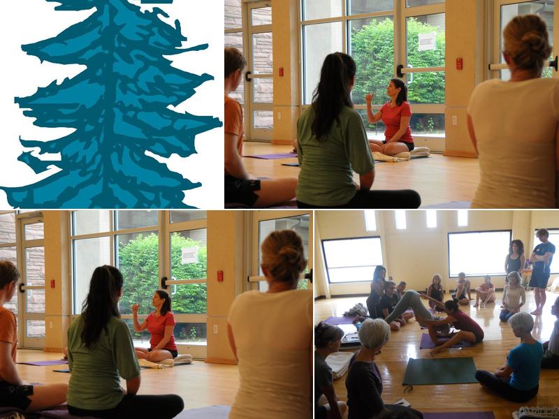 Blue Spruce Yoga