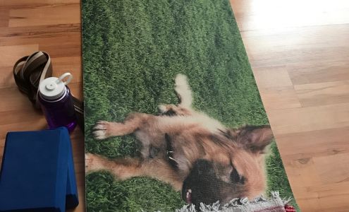 Inner Vision Yoga In back parking lot West of Trader Joes At end of breezeway, 6448 S McClintock Dr, Tempe Arizona 85283