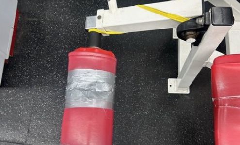 Perfect Specimen Fitness