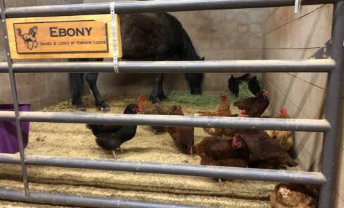 The ROCK Quarry Kenna