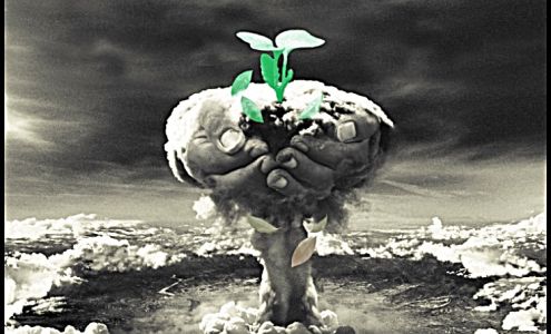 Destroy & Rebuild Fitness Gym