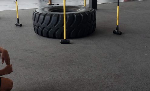 Elite Strength and Performance, LLC