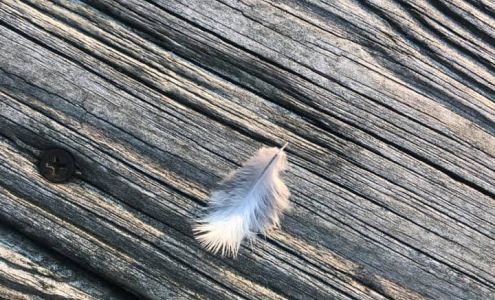 Deep Peace Pilates 15404 OH-170 b, East Liverpool Ohio 43920