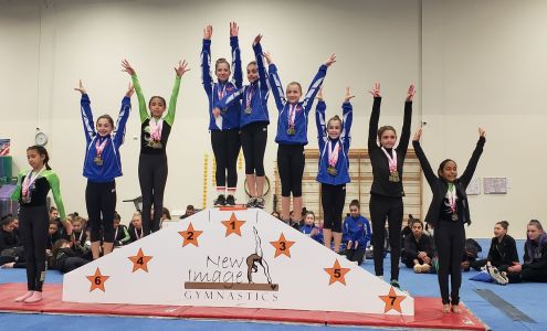 Vasi's International Gymnastics, LLC