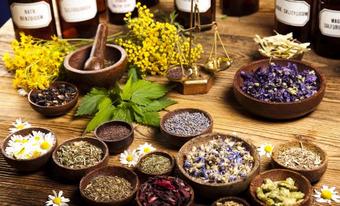 The Studios at Florida School of Holistic Health