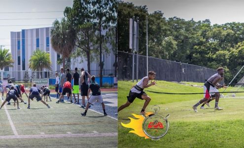 Ultimate Stomping Ground