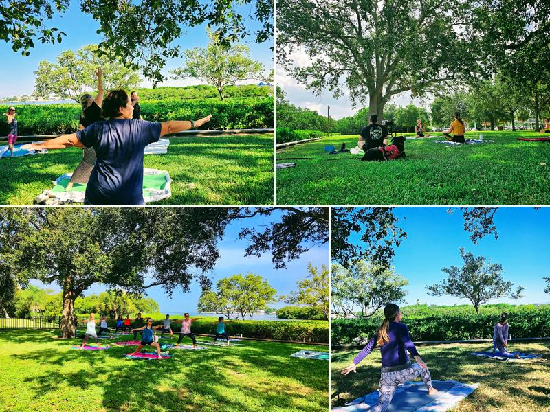 Yoga in the Park - Dunedin
