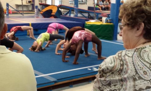 Gymnastics Plus