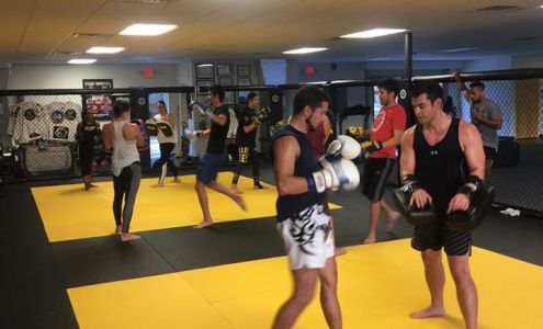 American Killer Bees Fitness