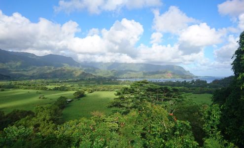 Gracie Kauai Longman Jiu-Jitsu Kilauea