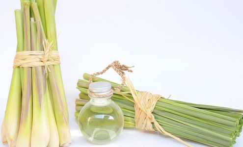 Mind Body Spirit Fitness