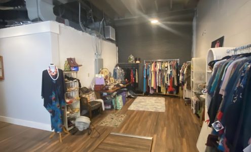 Peaceful Peacock Orlando