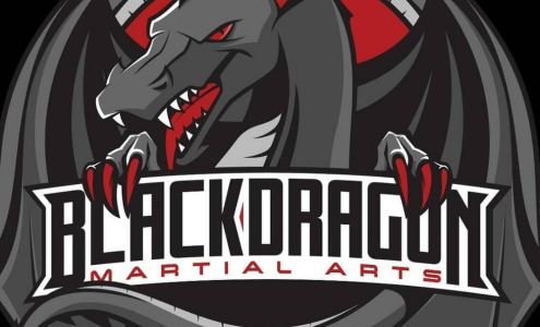 black dragon karate Taylor