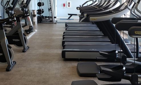 Ship Shape Health Club