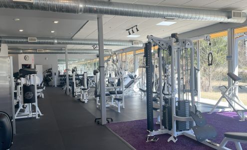 Ultimate Bodies By Carlos