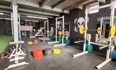 Maximum Level Fitness