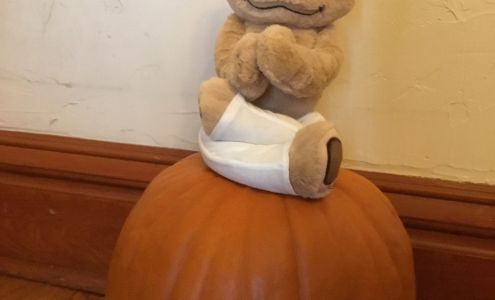 Little Meadow Family Yoga La Fox