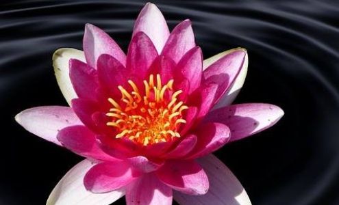 Oneness Body & Soul LLC