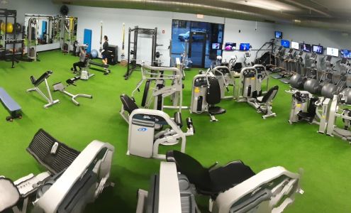 Wildcat Fitness & Fun Manhattan