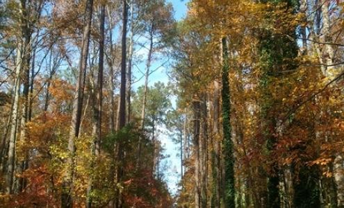 Bergen Rd North Augusta Greeneway Parking North Augusta