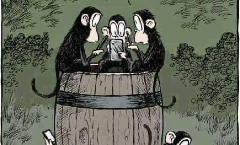 Leslie Branham Fitness Saint Paul