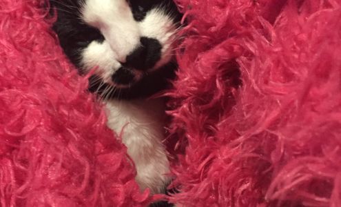 BALANCE POINT HEALTH & FITNESS Leavenworth