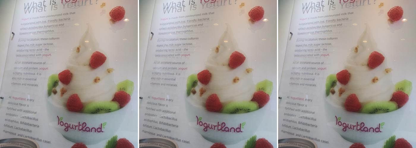 Yogurtland Wilshire & Vermont Menu