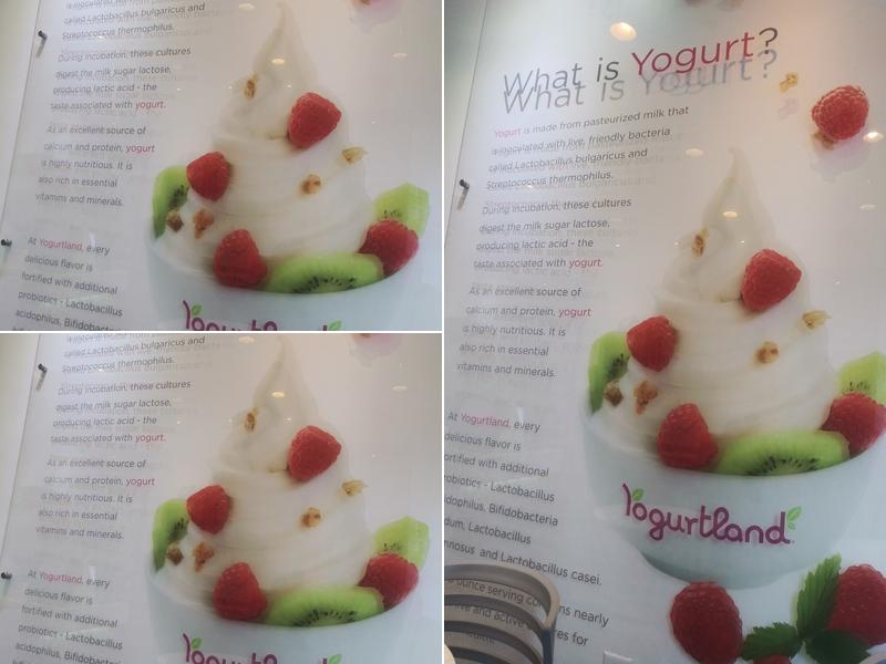 Yogurtland Wilshire & Vermont Menu