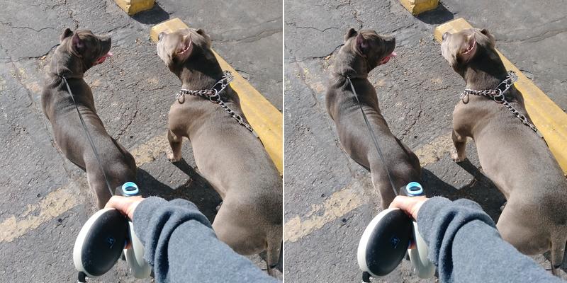 Corrective Techniques