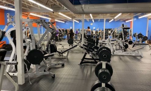 Family Fitness of Alpine