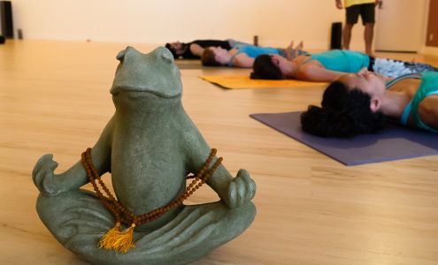 Laughing Frog Yoga