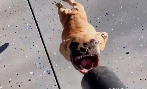 Bush's Basketball Gym