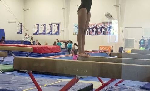 Love Gymnastics