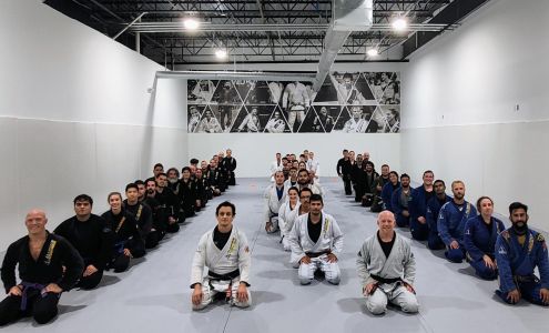 Alliance BJJ Houston