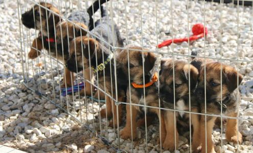 Columbia Canine Sports Center