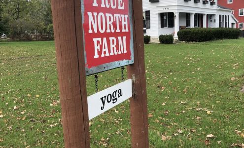 True North Yoga York