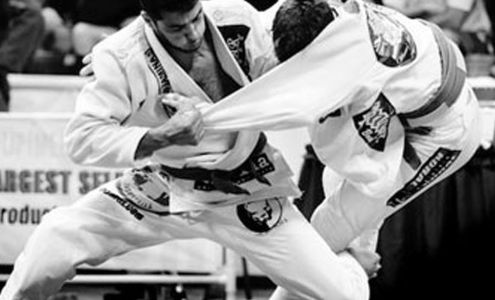Palm BJJ Brazilian Jiu-Jitsu