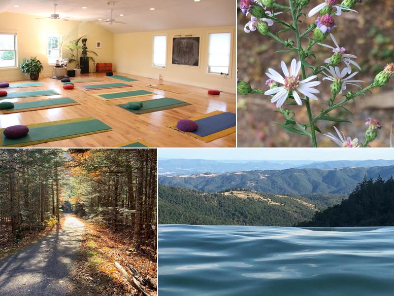 Upstate Yoga Institute