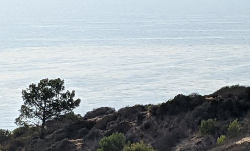 Navy Federal Credit Union