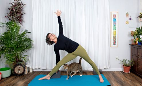 Hudson River Yoga