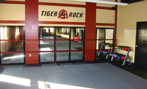 Tiger-Rock Martial Arts