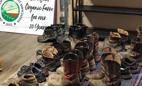 LifePoint Yoga Robinson