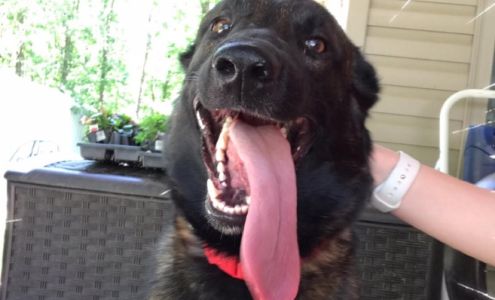 White Knight Jiu Jitsu Seneca