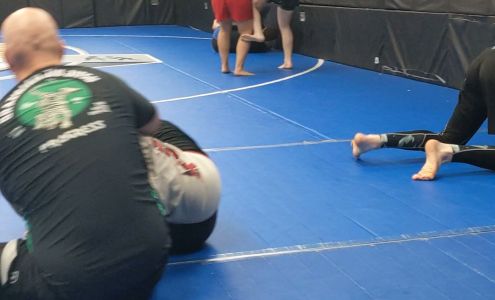 3 Elements BJJ and MMA