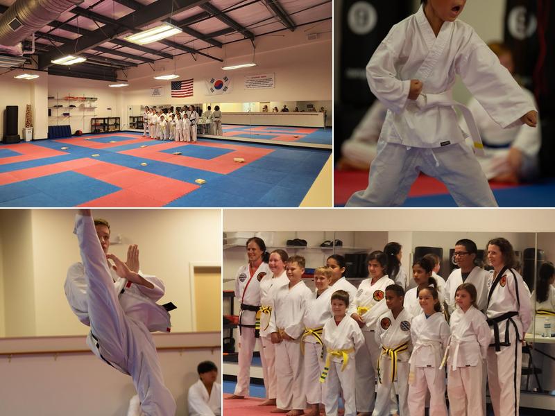 Franklin Family Taekwondo